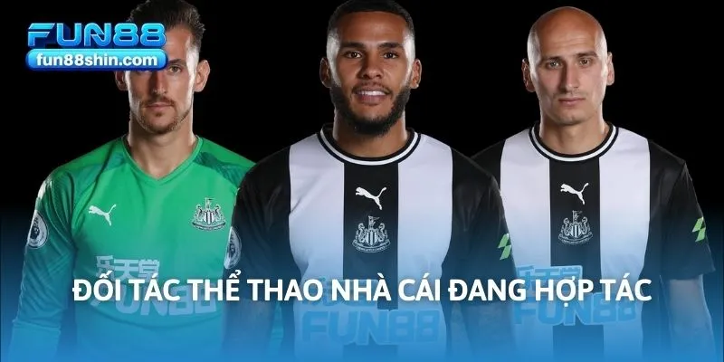 Đối tác thể thao nhà cái đang hợp tác